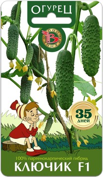 ������ ������ F1