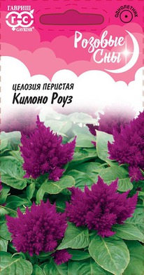 ������ ���� ������� ��������