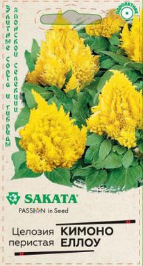 ������ ����� ������� ��������