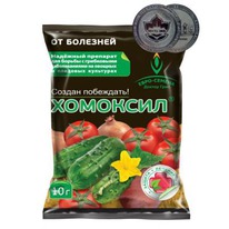 �������� 10��. ������ ��������