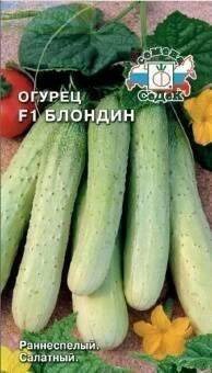 ������ ������� F1