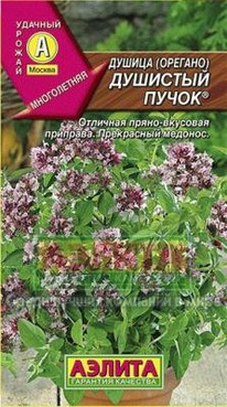 ������ �������� ����� ������������