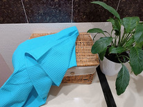 ������� ��������� ��������� ���������� 245�/�2 ������