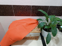 ������� ��������� ��������� ���������� �/���� 245�/�2 ������