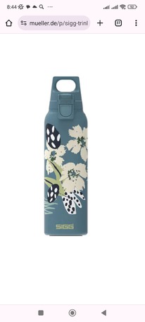 mueller SIGG Trinkflasche Hot & Cold One Flower Ecoblue 0.5l