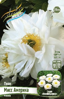 ���� ���� ������� 2/3n