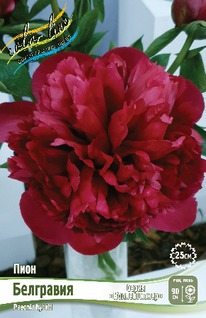 ���� ��������� 2/3 n