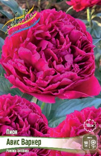 ���� ���� ������ 2/3 n