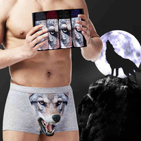   3D   4 ,  .  95%  , 5% 