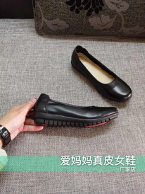 ����� ����, �������� ���������, ��� �����, ����� �������