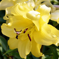 ����� ��������� �������� ����� �����