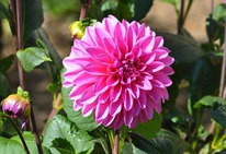 �������� ����� ������