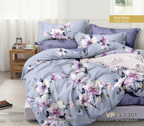 ������� ���������� ����� �� ������� ����� ������ (0301)