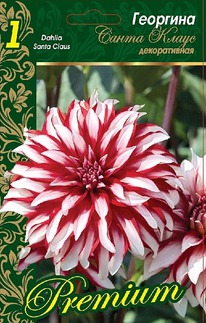 �������� ����� ����� (�����) ������������