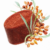 GREEN ERA GREEN ERA ������� ������ ��������.��������.�/���� ����� ��������