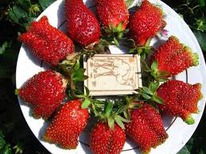 ��������� ������� 5 �� ������