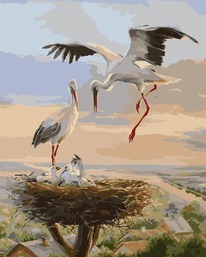 ������� �� ������� 40�50 / ����� ������