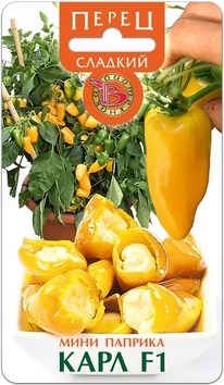 ����� ������� ���� ������� ���� F1