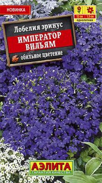 ��������� ������ �������