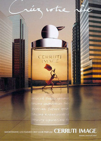 305   CERRUTI IMAGE (Cerruti)