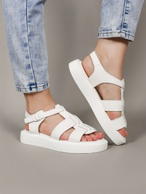 ������ ��������� ������� ������� Y81-1 �����