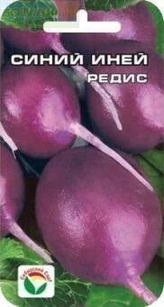 ����� ����� ����