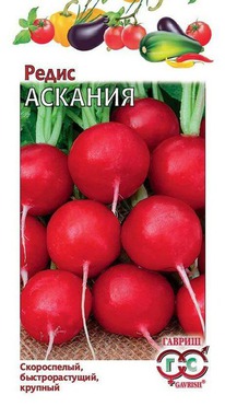 ����� ������� (��������)