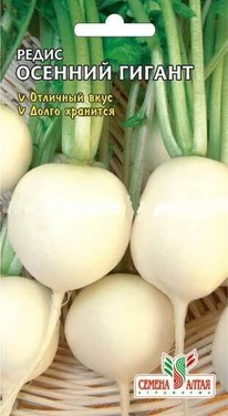 ����� ������� ������