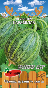 �������� ���������