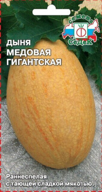 ���� ������� ���������� �����������