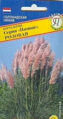 ���������� ������ ������� �����������