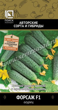 ������ ������ F1