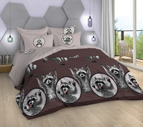 ������� ���������� ����� �� ������� - �����