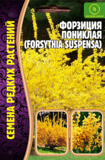 �������� ��������