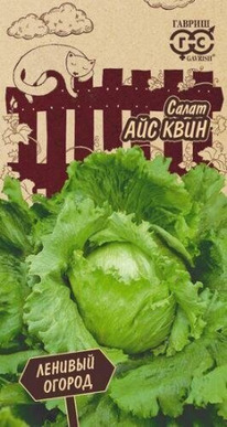 ����� ��� ���� �������� ������� ������