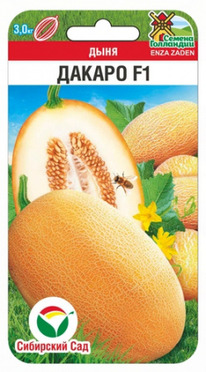 ���� ������ F1