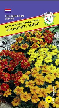 �������� ������� ����