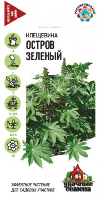 ��������� ������ �������