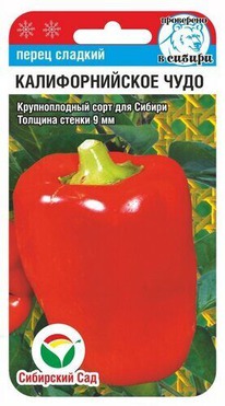 ����� �������������� ����