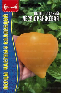 ����� ���� ���������