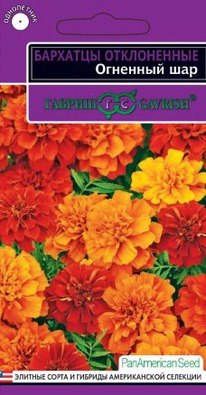 �������� �������� ��� ����������