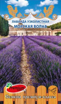 ������� ������� ����� �����������