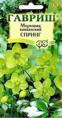 �������� ������ �����������