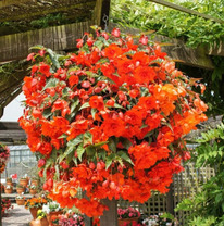 ������� ����������� ����� 6/7