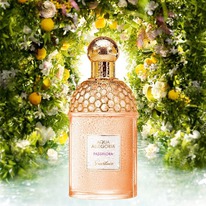 Guerlain Aqua Allegoria Passiflora ������ 25% �� 31.05