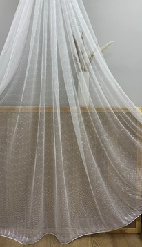 ���� ����� ������