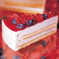 BINDI ���� ���� ���������� � ������� ������� �������, ���������, ������