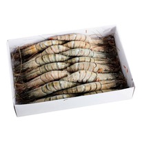 �������� �������� � ������� 16/20 ���������, ���������