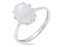 ������, ������ ������, ���4161