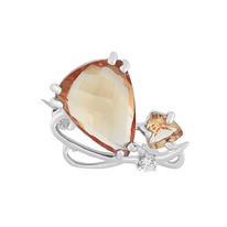 �����, ��������, ��������